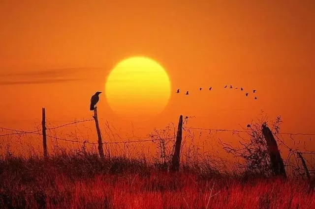 中庭人的一天！