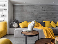 純干貨！家里有寵物的十個(gè)裝飾小建議